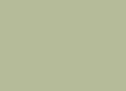 Cypress - Solid Color