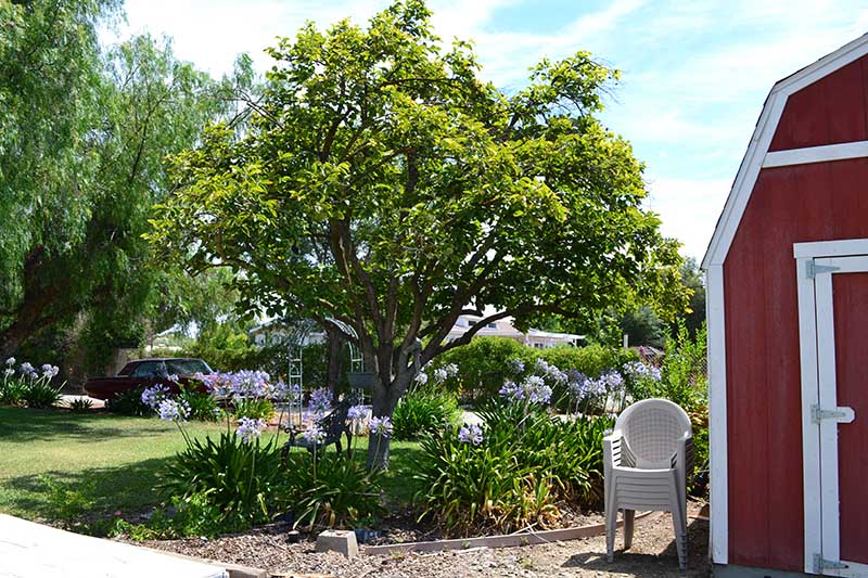 outdoor storage sheds in Massachusetts