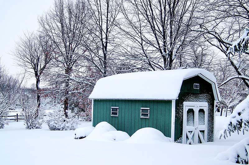 backyard shed in Massachusetts