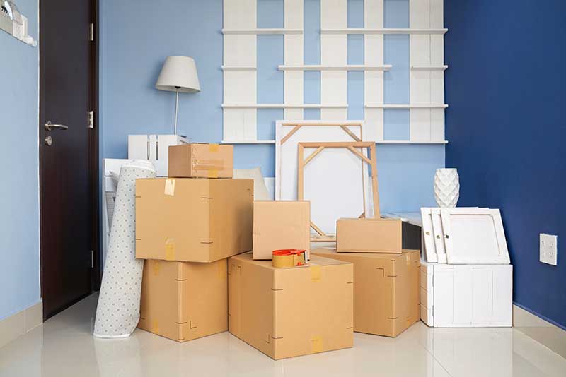 organize your home