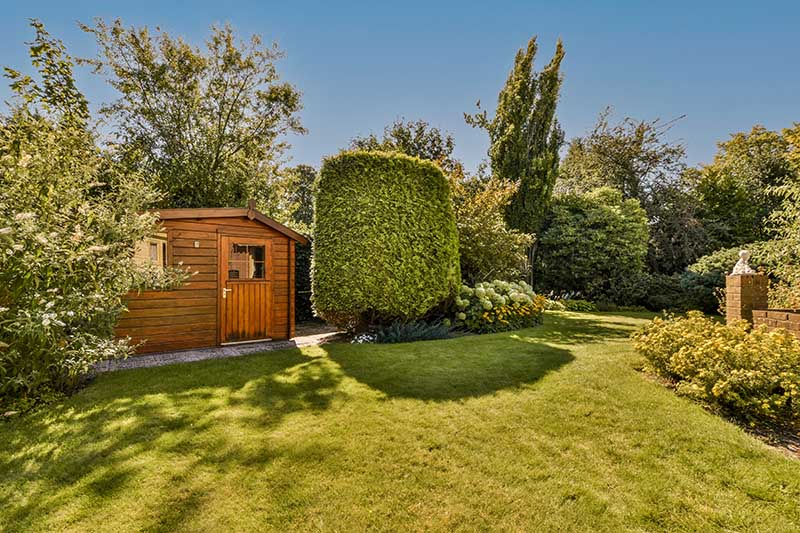 backyard shed storage
